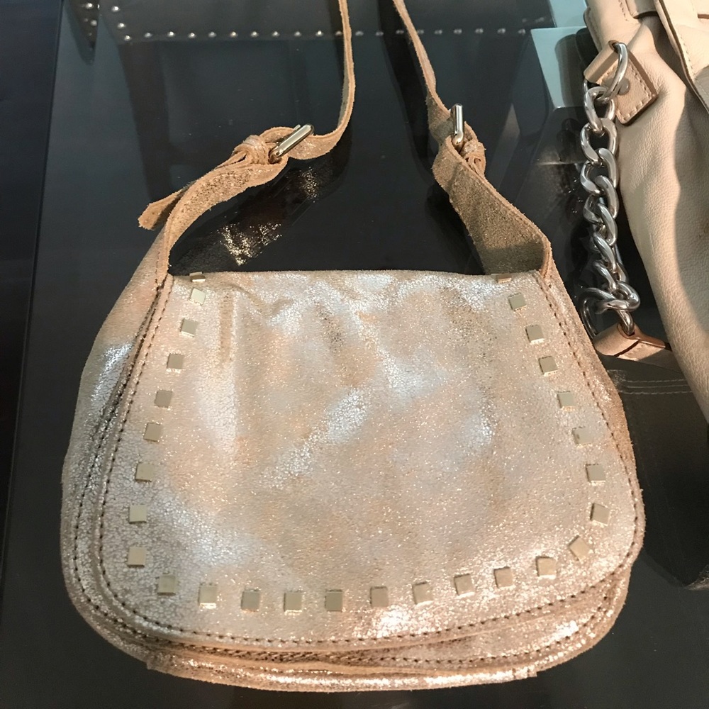 Zara cross body metallic purse